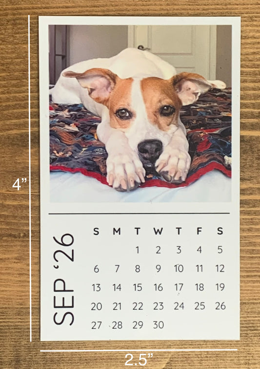 2026 Flat Magnetic Calendar