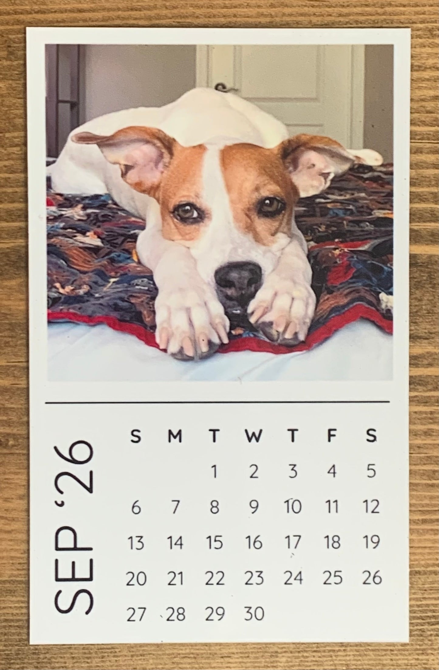 2026 Magnetic Calendar (12 month | 2.5” x 4”)