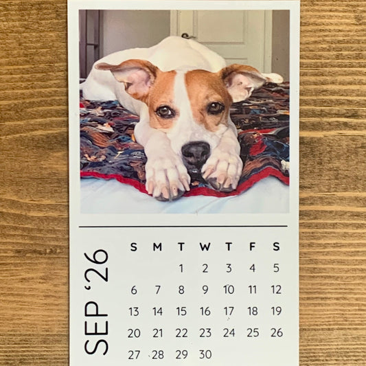 2026 Magnetic Calendar (12 month | 2.5” x 4”)