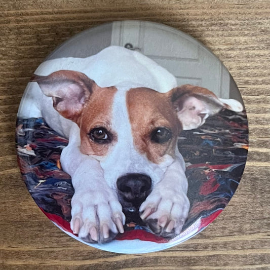 2.25” Round Mylar Magnets
