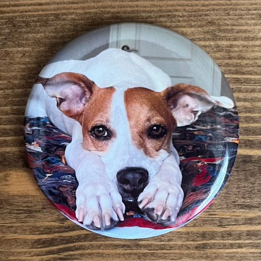 2.25” Round Mylar Magnets